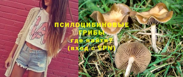 первитин Абинск