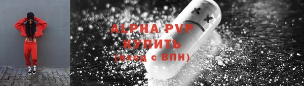 стаф Абаза