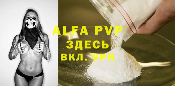 стаф Абаза
