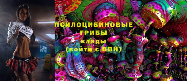 прущая мука Алзамай