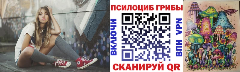 продажа наркотиков  Приволжский  hydra как зайти  площадка Telegram  Псилоцибиновые грибы мицелий 